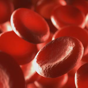 Anticoagulation | Glenwood Medical Associates